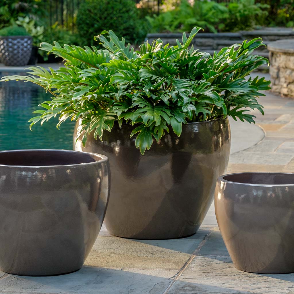Campania International Cabachon Planter - 1000-22603