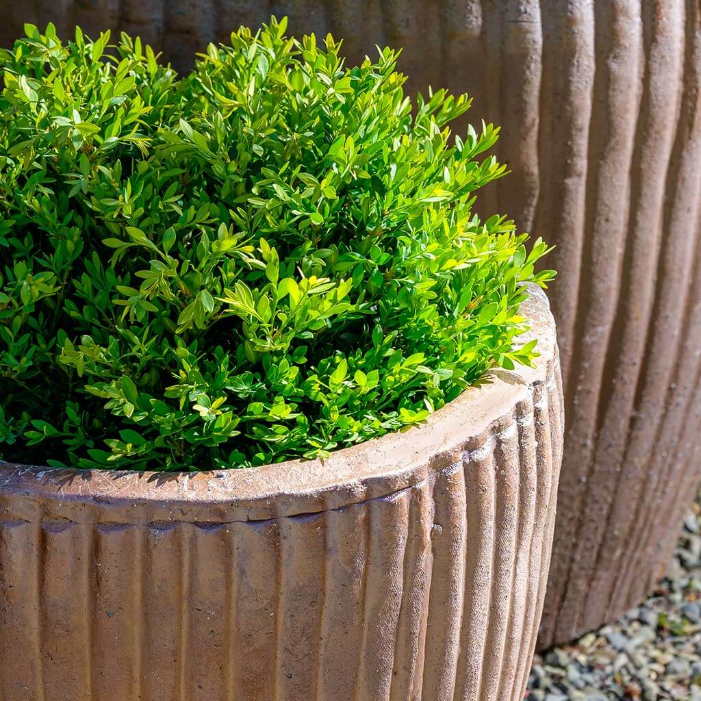 Campania International Han Planter - 2045-22302