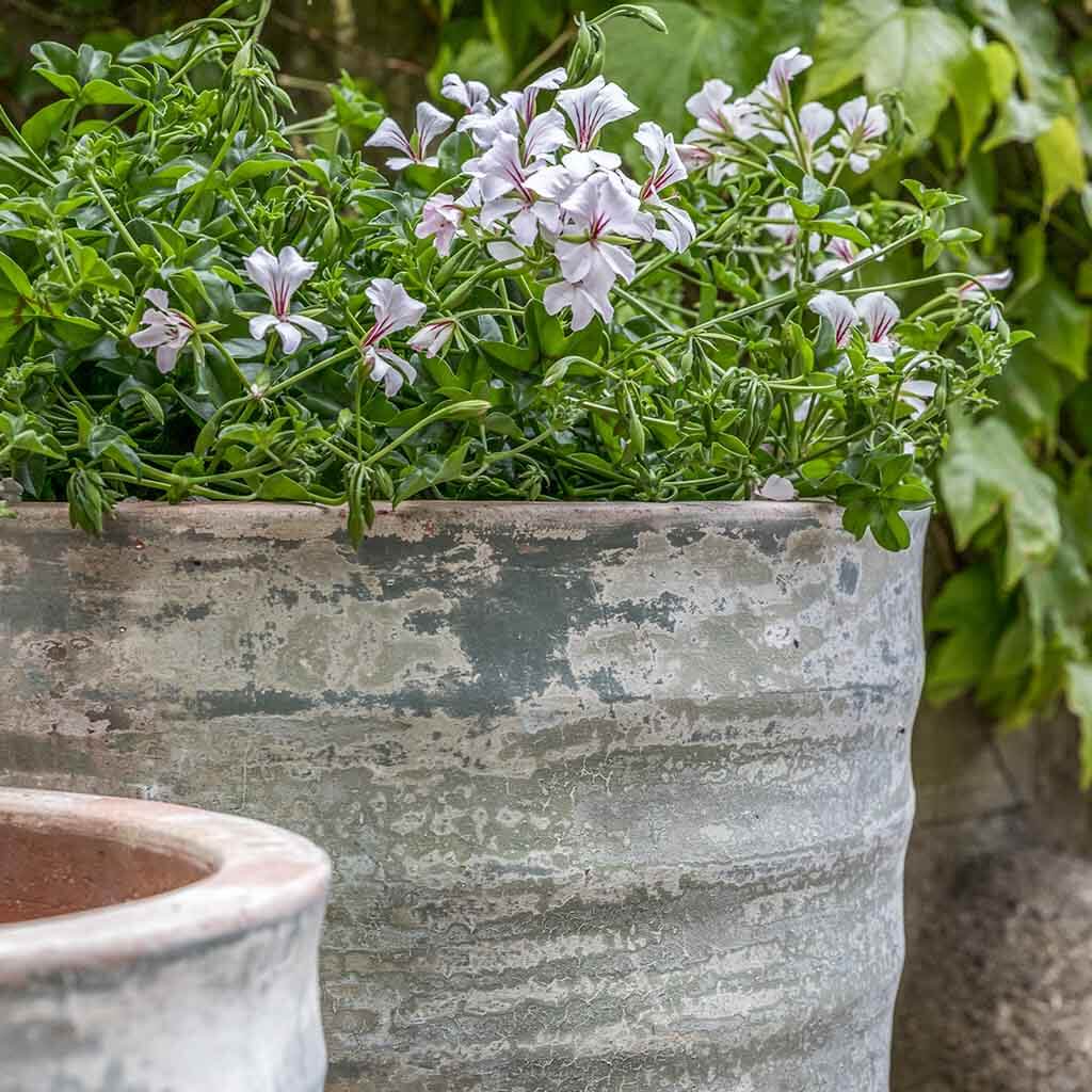 Campania International Sistina Planter - 5003-18102