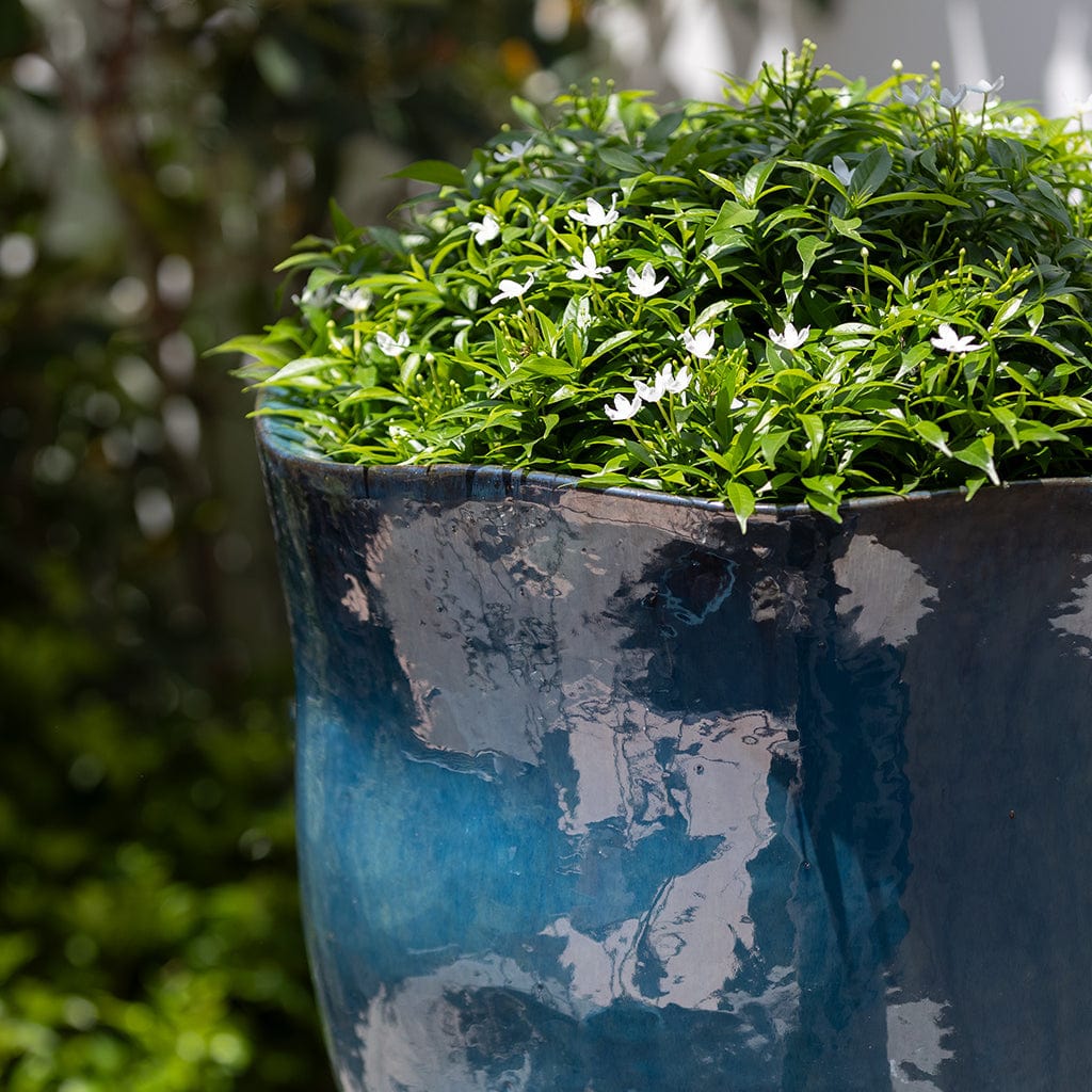 Campania International Foxglove Planter, Tall - 7007-5303