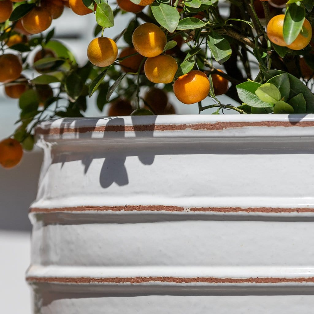 Campania International Vari Planter - 7011-0103