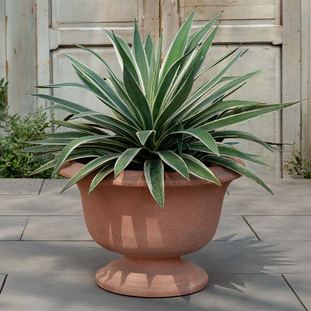 Campania International Margaux Urn - Sandblasted - 7019-27501