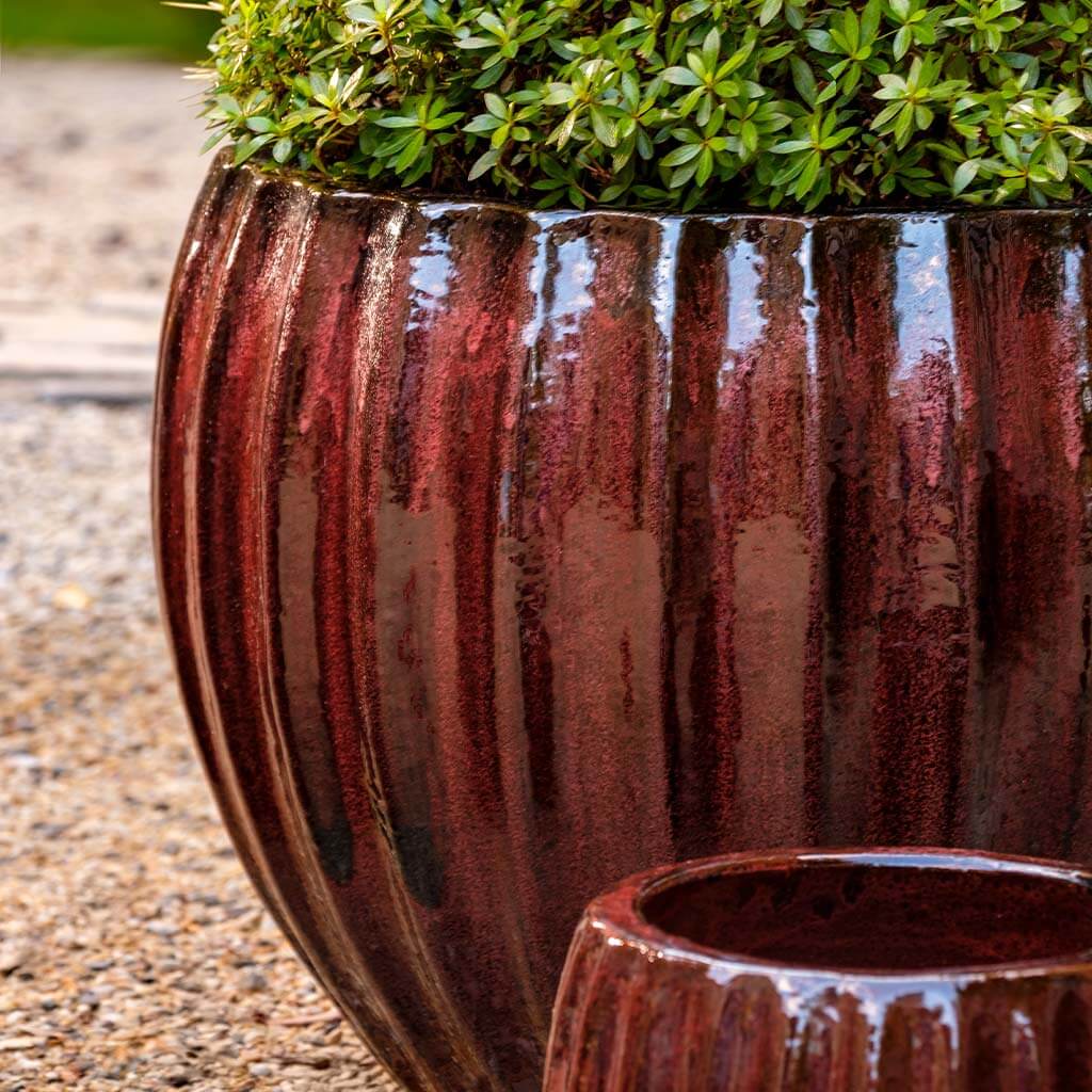 Campania International Cabernet Planter - 8111-20603