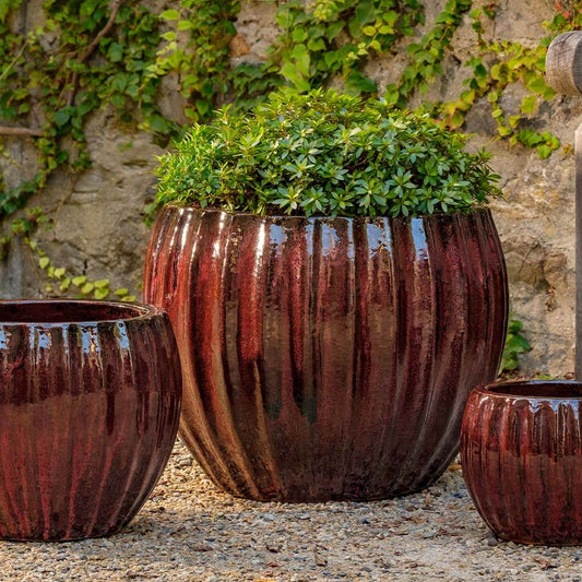 Campania International Cabernet Planter - 8111-20603