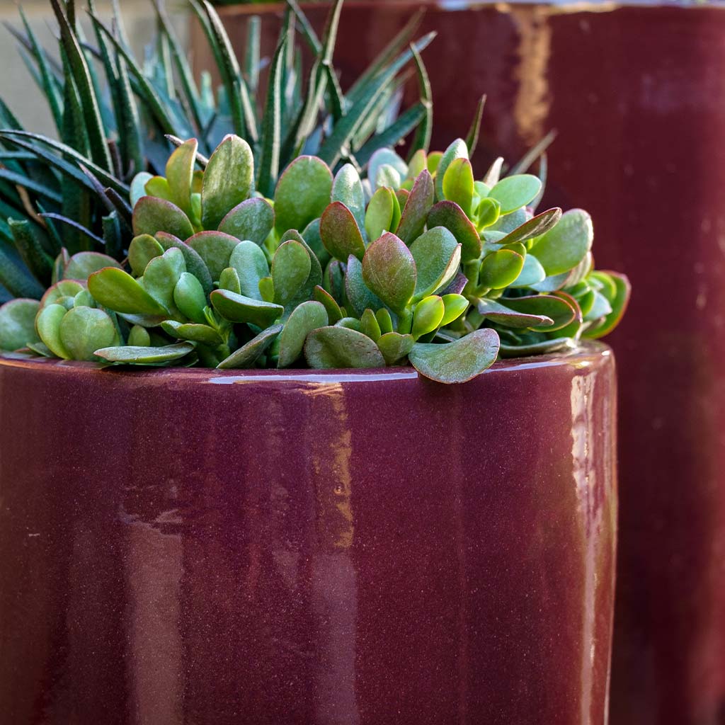 Campania International Rioja Planter - 8924-22502