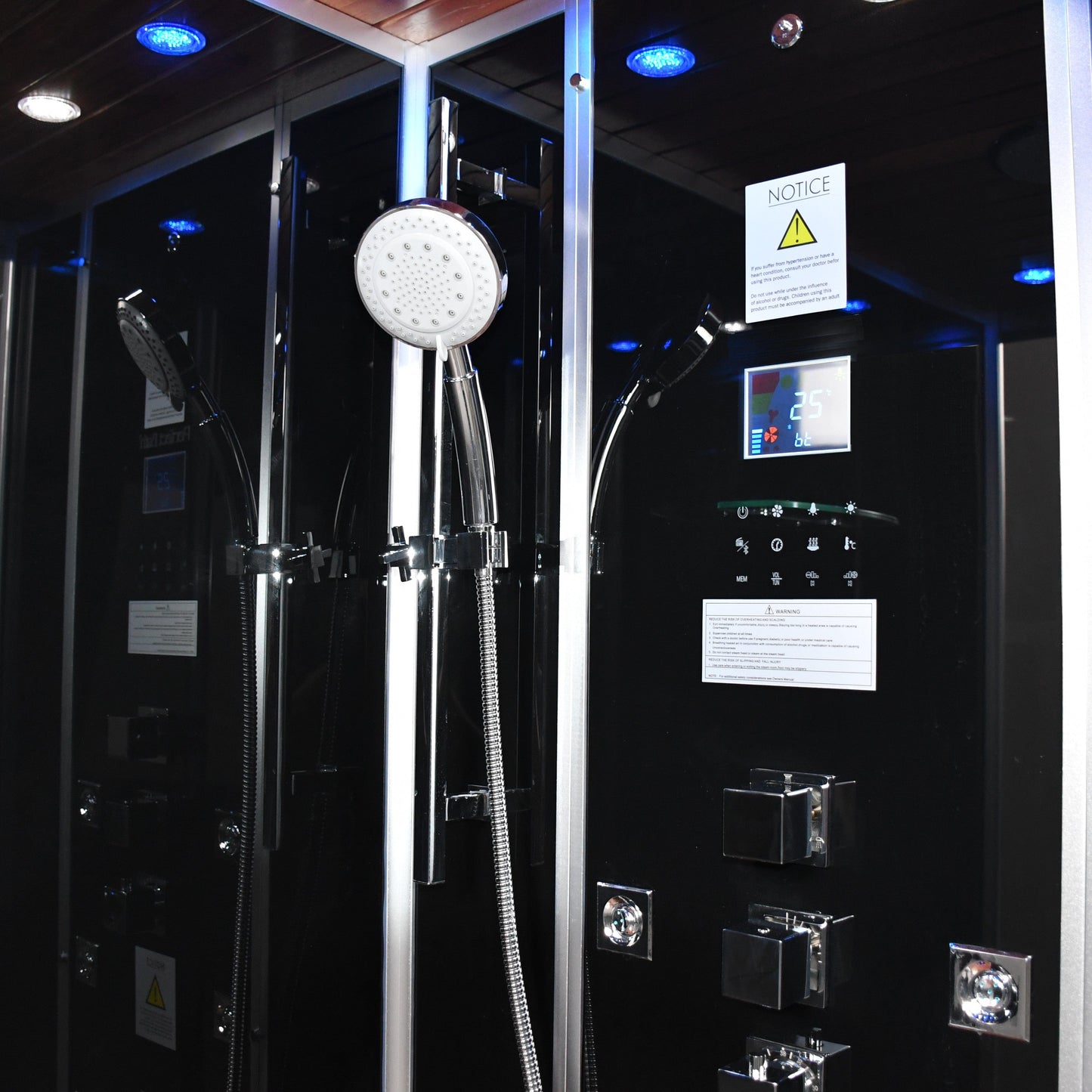 Platinum DZ961F8R 59" Rectangular Free Standing Steam Shower - Black