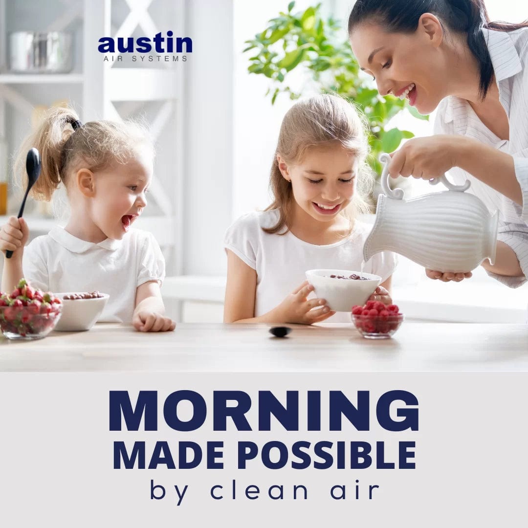 Austin Air Bedroom Machine HM402 Air Purifier, 1500 sq ft.