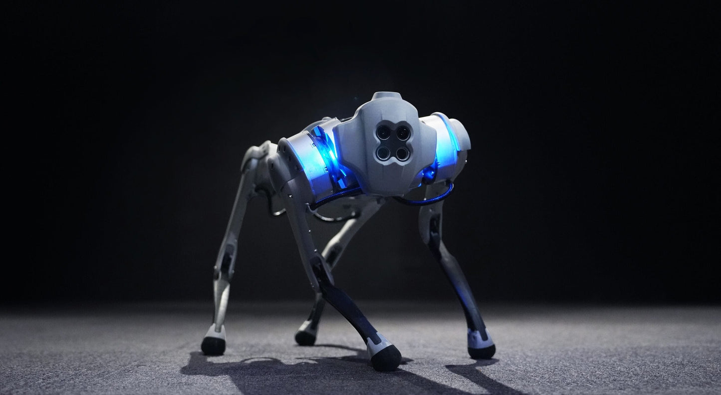 Unitree Go1 Robot Pro