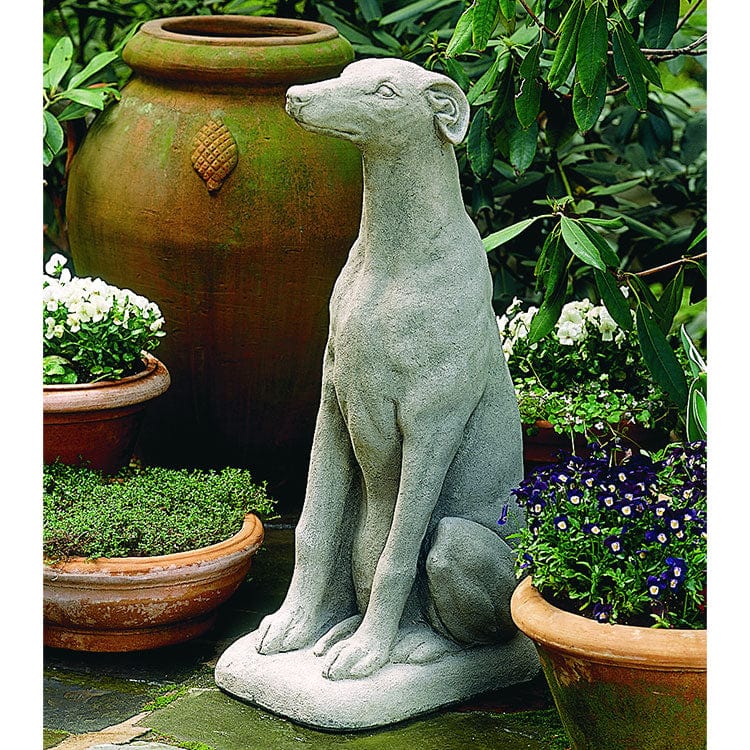 Campania International Greyhound - A-240