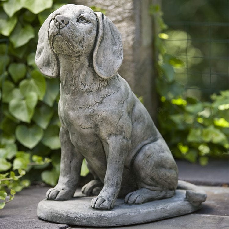 Campania International Scout - A-387