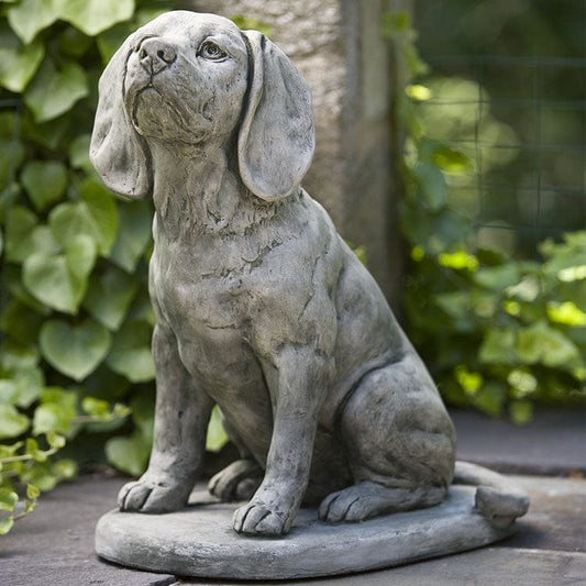 Campania International Scout - A-387