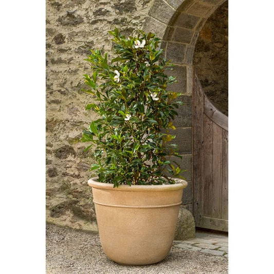 Campania International Carema Planter, XLG - P-832