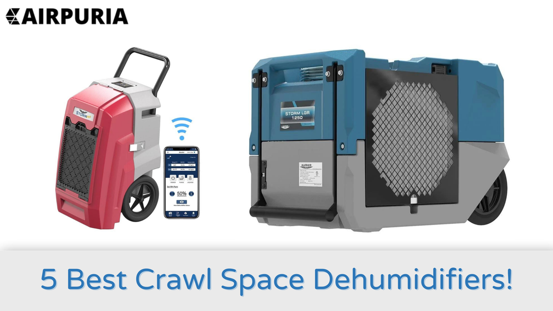 Image showing how Alorair basement crawl space dehumidifiers are the best in the market.