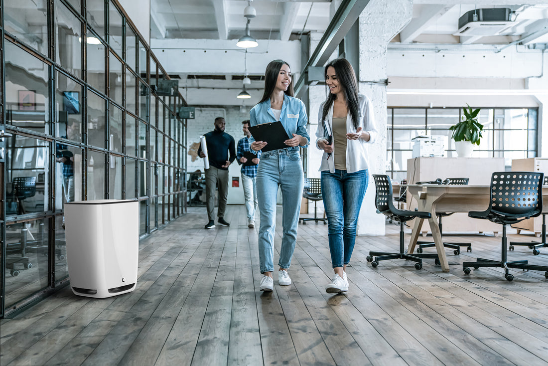How Installing Quality Air Purifiers Will Benefit Your Business 10X