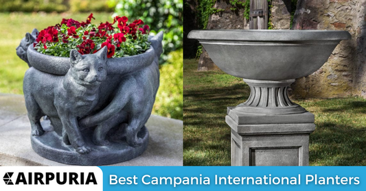 Top 5 Best Campania International Planters from Airpuria.