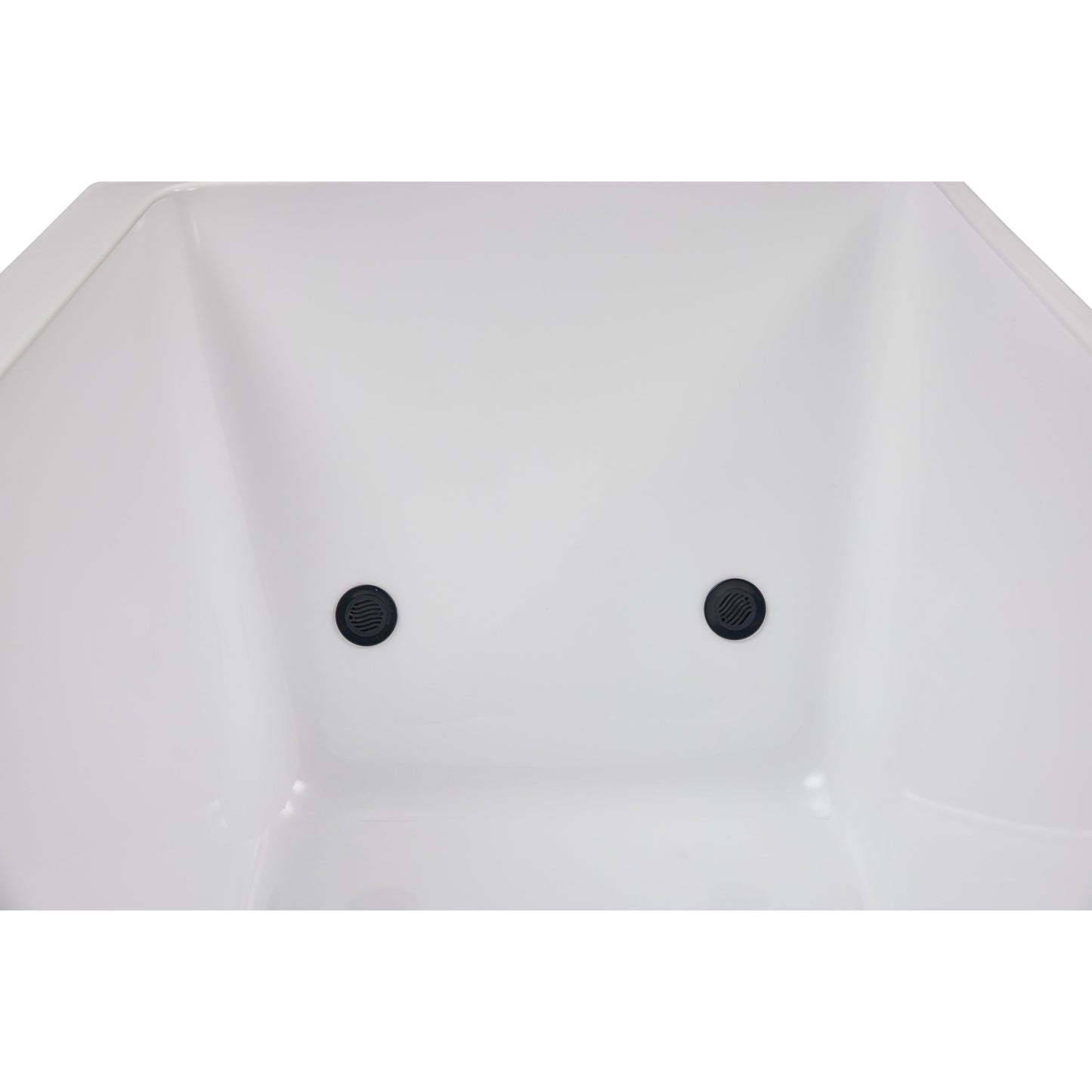 Luxury Spas Cold Plunge I Pro Therapy Tub - White