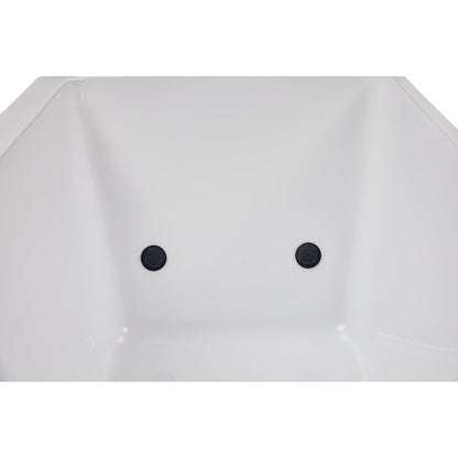 Luxury Spas Cold Plunge I Pro Therapy Tub - White