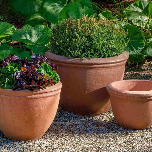 Campania International Kaili Planter - 2065-22303