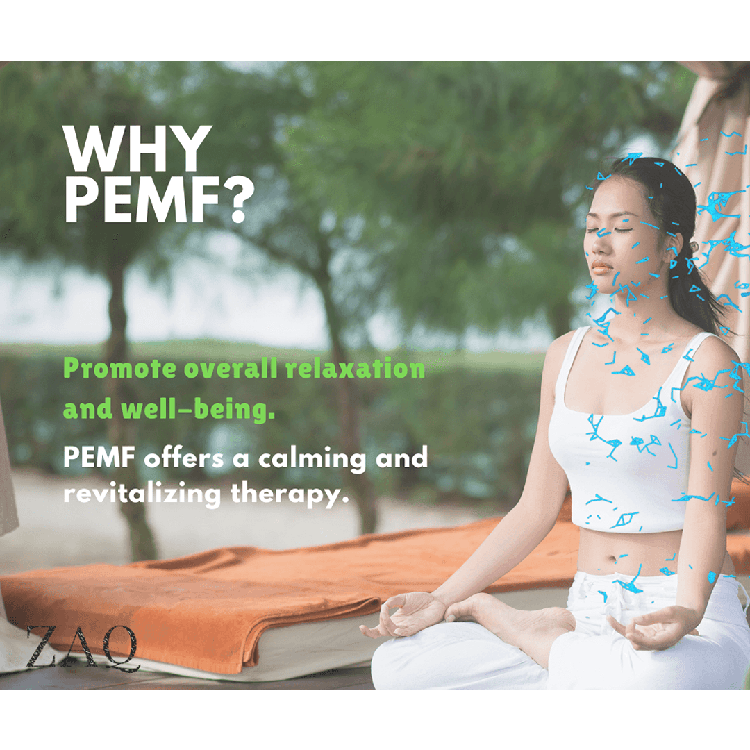 ZAQ Infrared PEMF Travel Mat