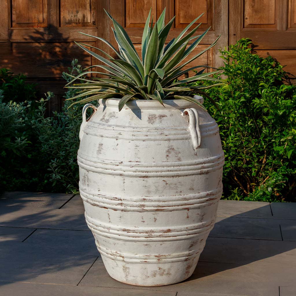 Campania International Tavira Jar - Whitewash - 6603-18401