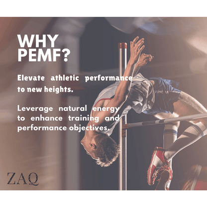 ZAQ Infrared PEMF Travel Mat