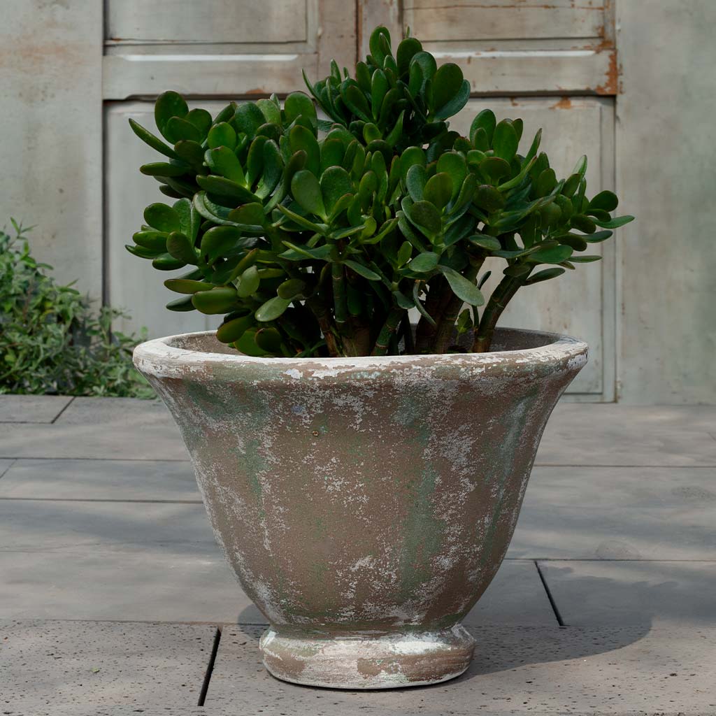 Campania International Jacqueline Urn - Murano Fresco - 7001-27201
