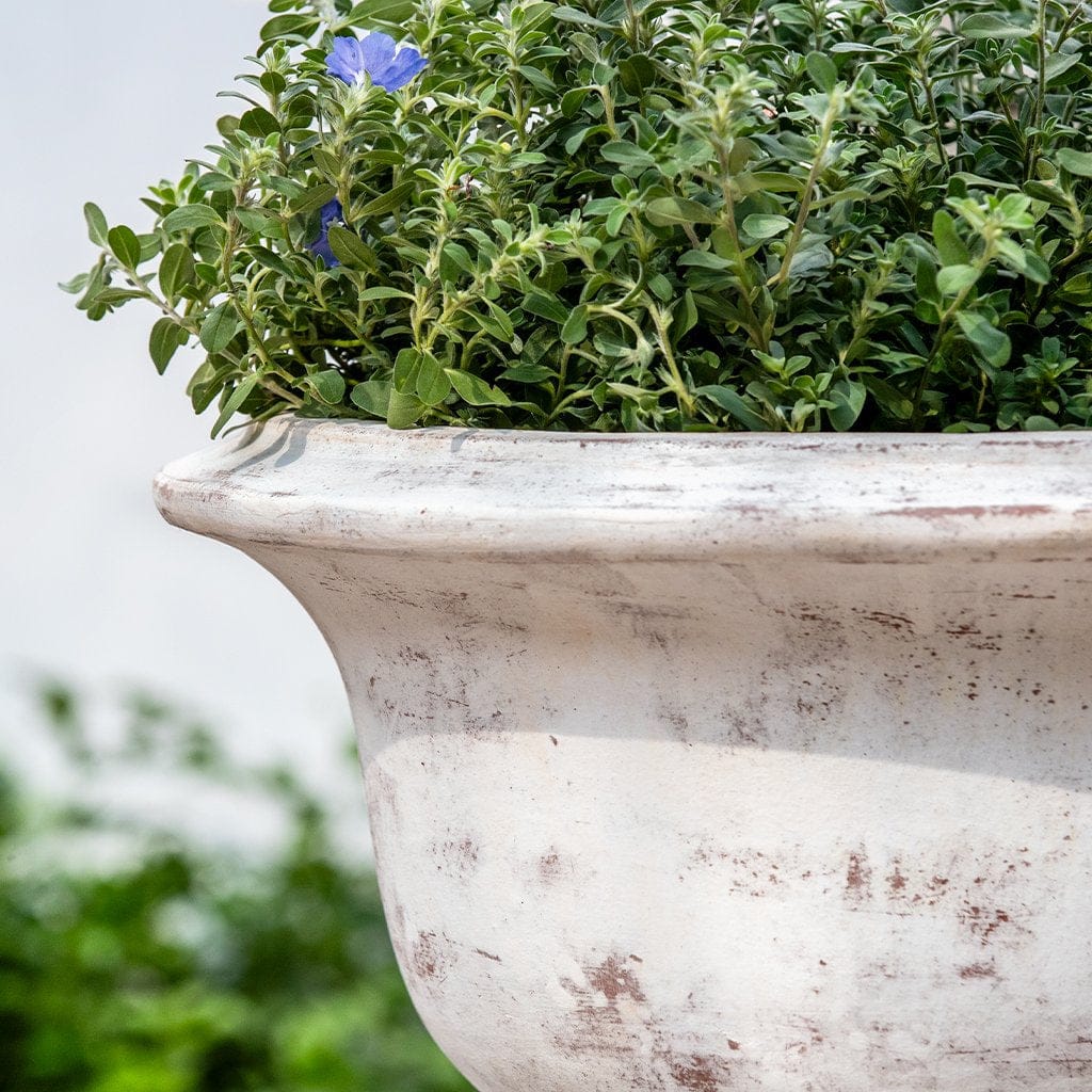 Campania International Margaux Urn - Whitewash - 7019-18401