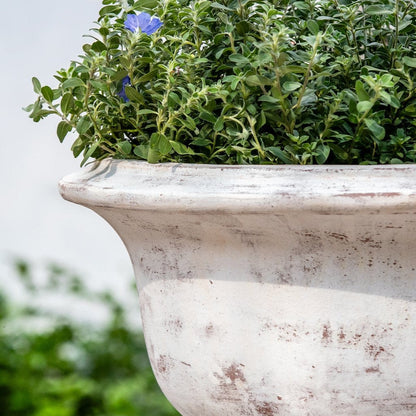 Campania International Margaux Urn - Whitewash - 7019-18401