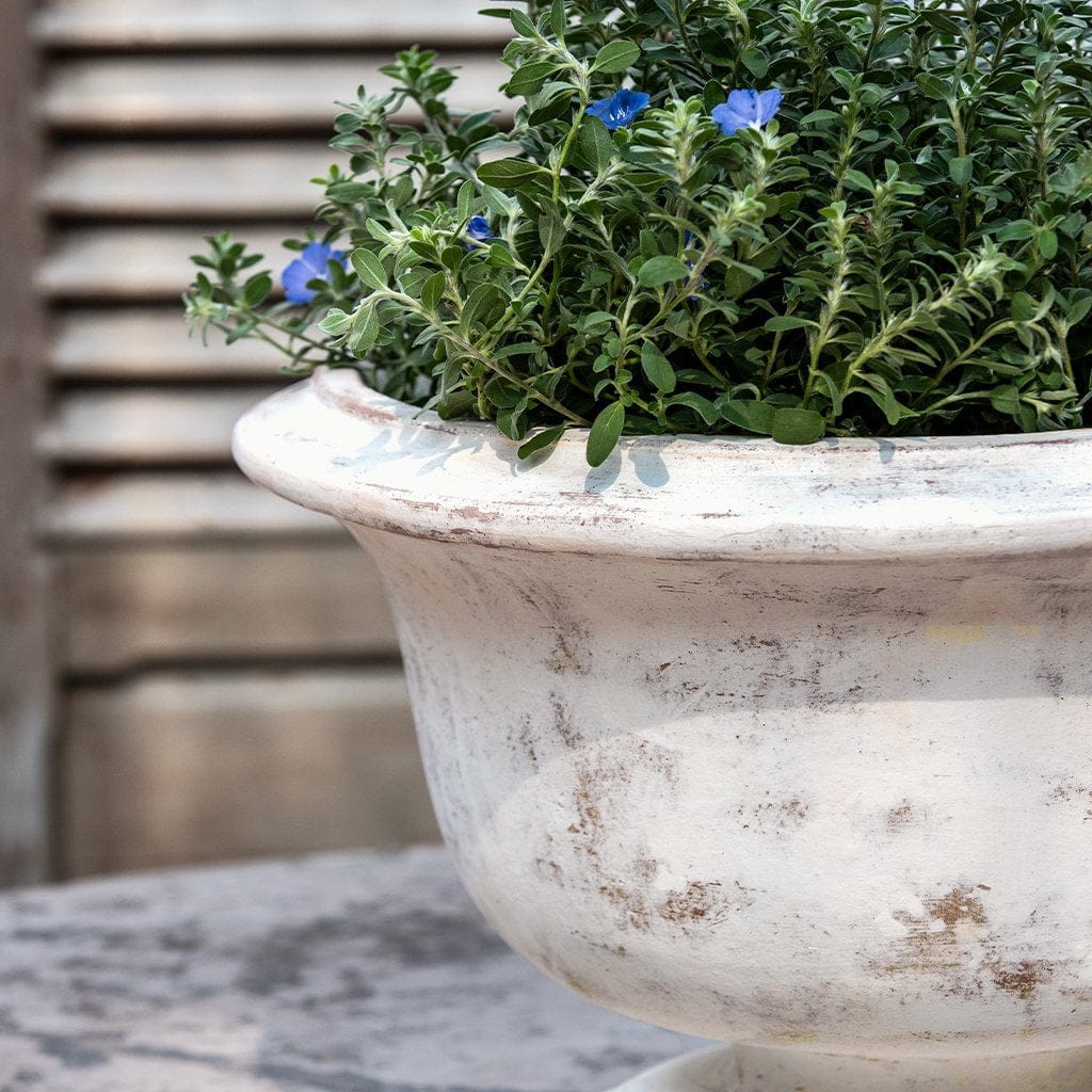 Campania International Margaux Urn - Whitewash - 7019-18401