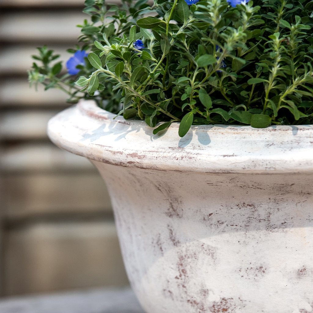 Campania International Margaux Urn - Whitewash - 7019-18401