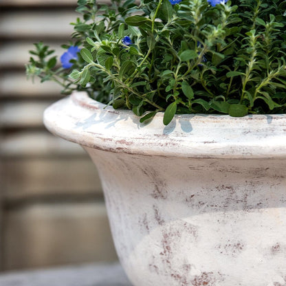 Campania International Margaux Urn - Whitewash - 7019-18401