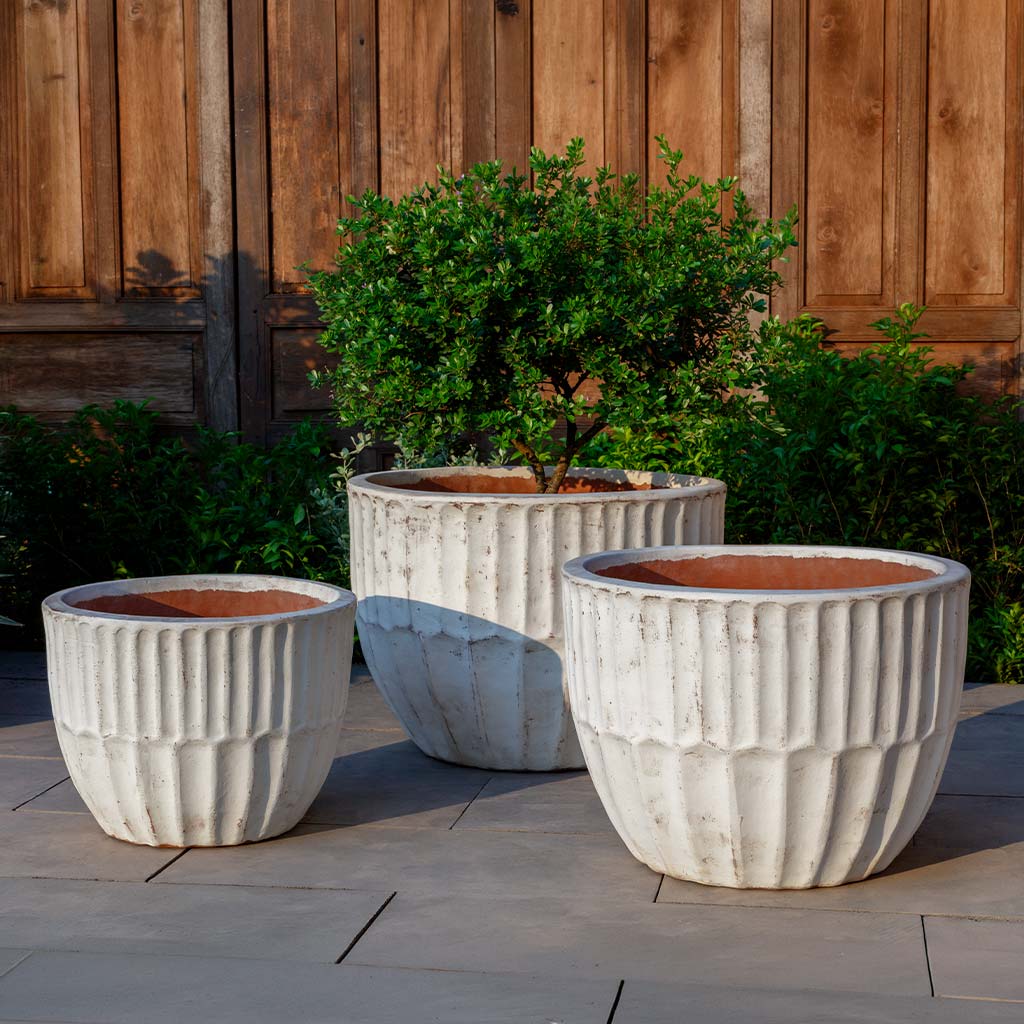 Campania International (Set of 3) La Roque Planter - Whitewash - 7029-18403