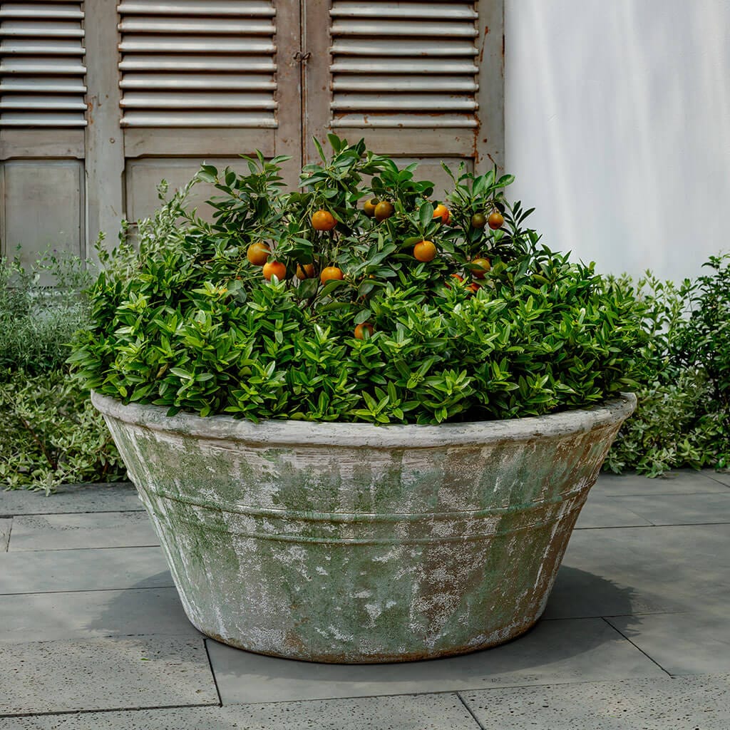 Campania International (Set of 2) Venise Planter - Murano Fresco - 7036b-27202