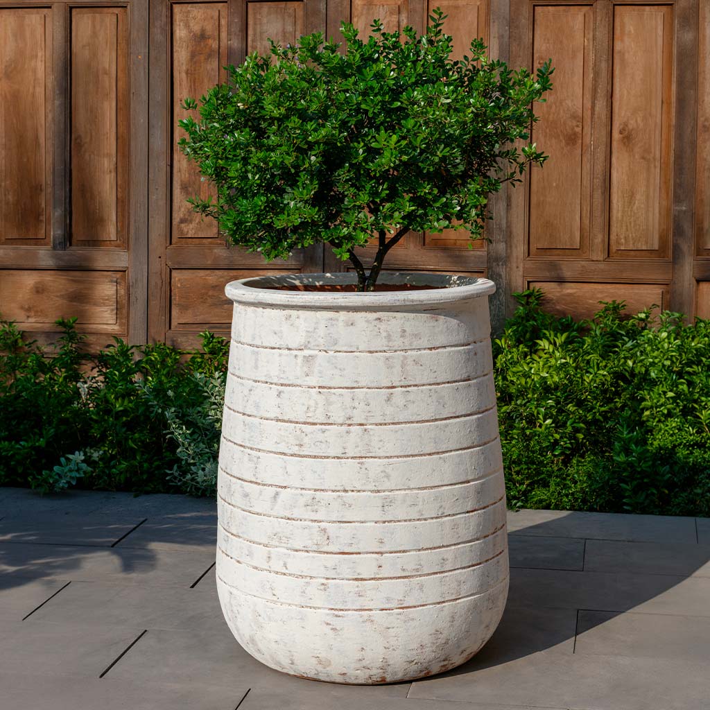 Campania International Ventoux Planter, Tall - Whitewash - 7038-18401