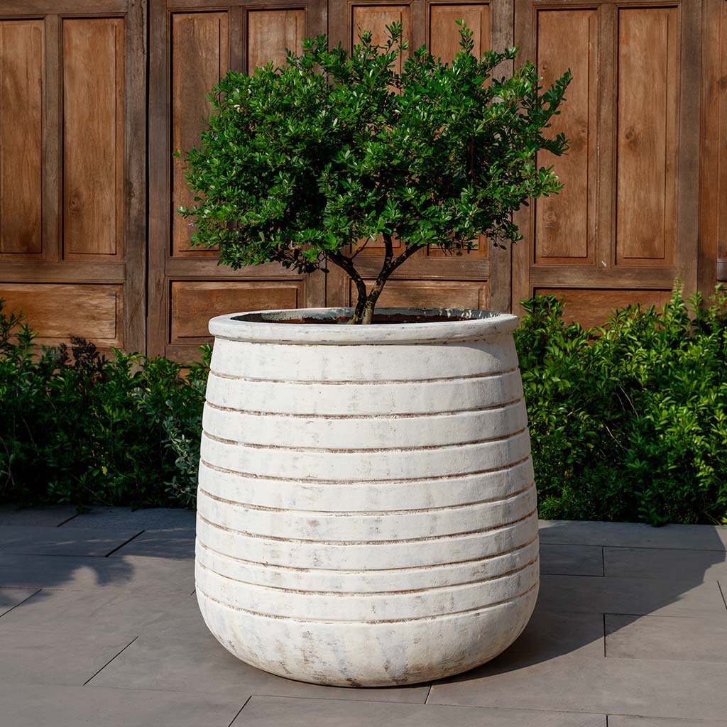 Campania International Ventoux Planter - Whitewash - 7039-18401