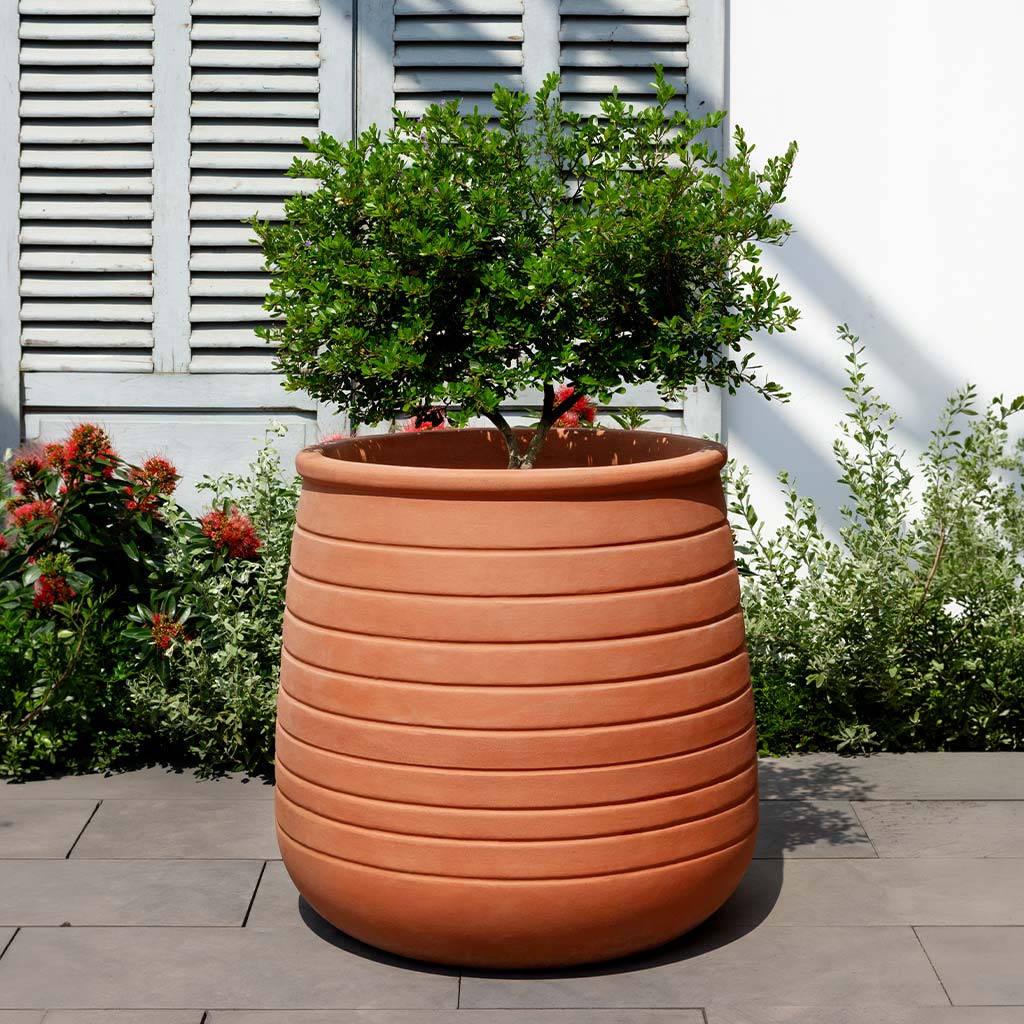 Campania International Ventoux Planter - Terra Cotta - 7039-2401