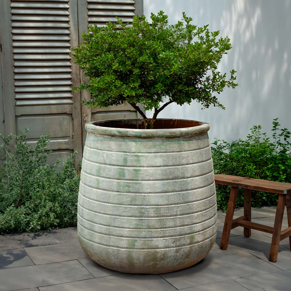Campania International Ventoux Planter - Murano Fresco - 7039-27201