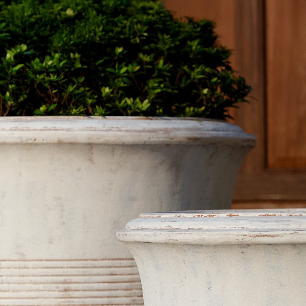 Campania International Las Palmeras Planter - Whitewash - 7040-18400