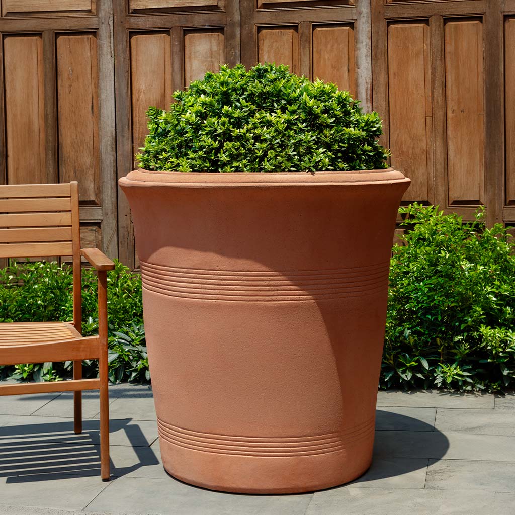 Campania International Las Palmeras Planter - Sandblasted - 7040-27500