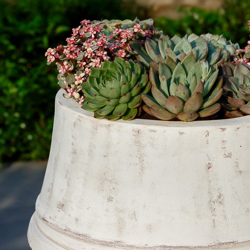 Campania International (Set of 2) Citron Planter - Whitewash - 7042b-18402