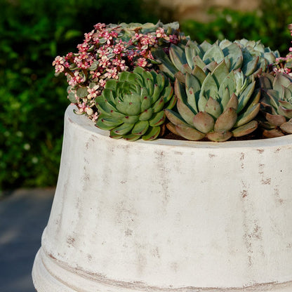 Campania International (Set of 2) Citron Planter - Whitewash - 7042b-18402