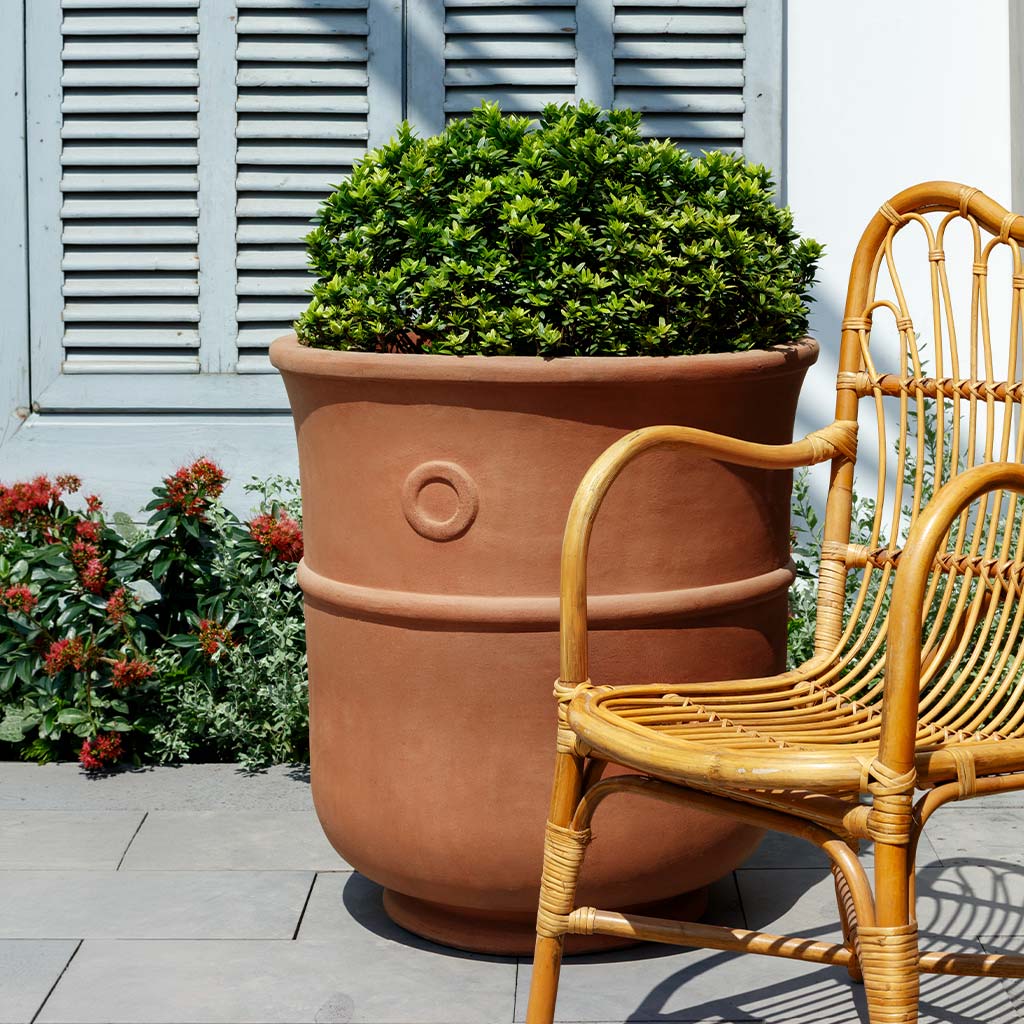 Campania International St. Tropez Planter - Terra Cotta - 7044-2400