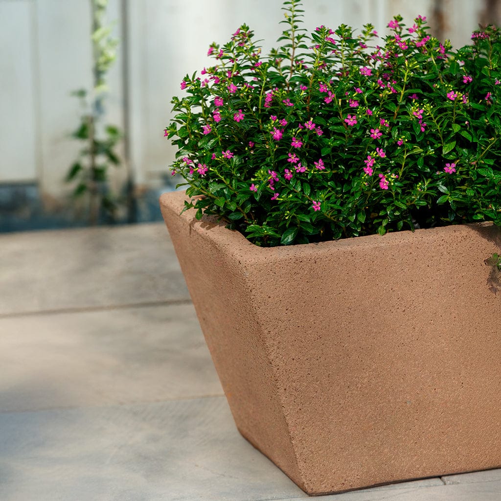 Campania International Chelsea Window Box - Sandblasted - 7047-27501