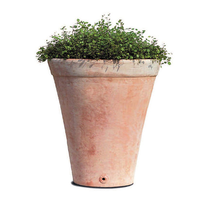 Campania International Usuki Planter - 8396-2402