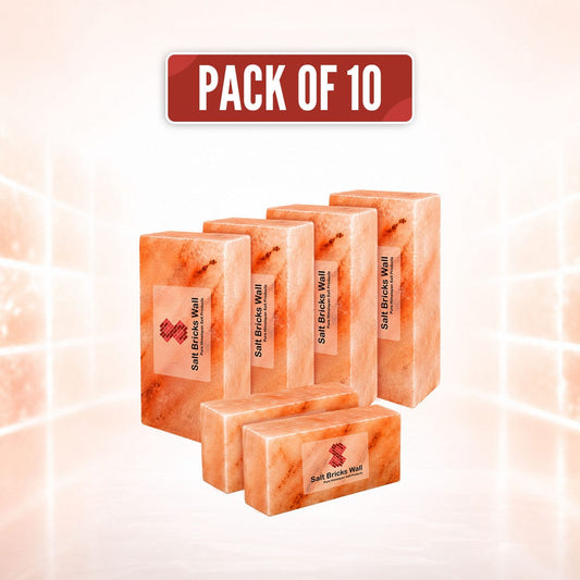 10-Pack Himalayan Pink Salt Bricks – 8" x 4" x 2" | Salt Wall Set
