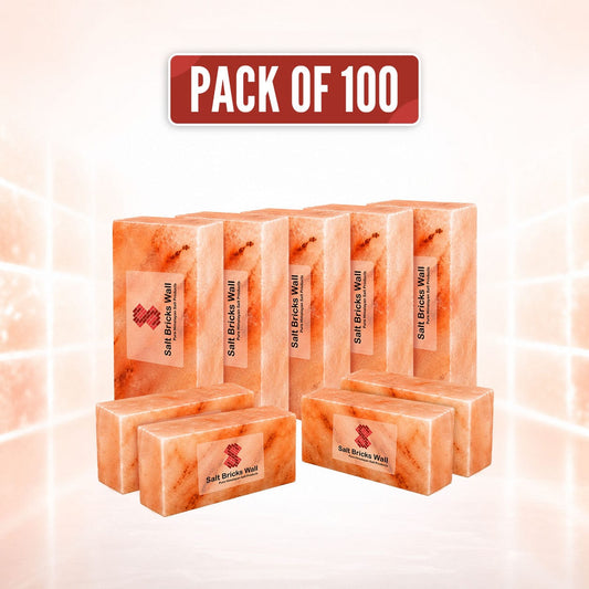 Salt Wall Bricks 8x4x 2 Pack of 100 for Spa, Sauna
