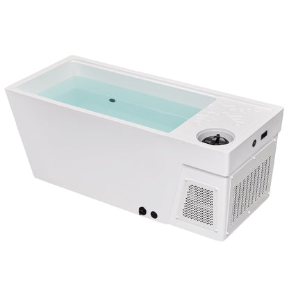 Luxury Spas 1 Person Cold Plunge All in - White