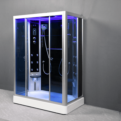 Platinum DZ903L 59" 2 Person Steam Shower Sliding Door - Blue