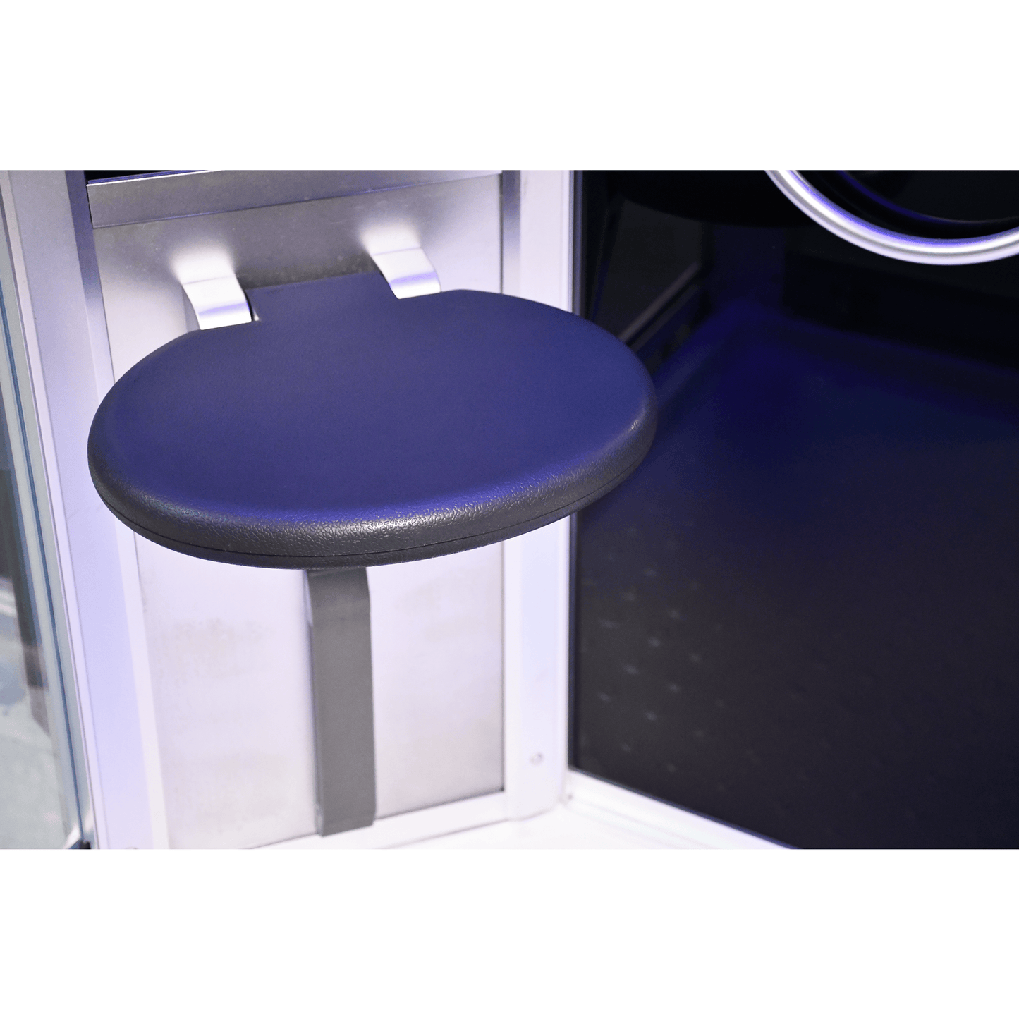 Platinum DZ903L 59" 2 Person Steam Shower Sliding Door - Blue