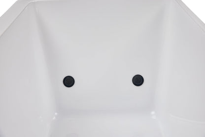 Cold Plunge I Pro Therapy Tub - White